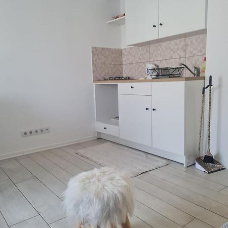 Cute Modern Apartman Zagreb Apartman Kültér fotó